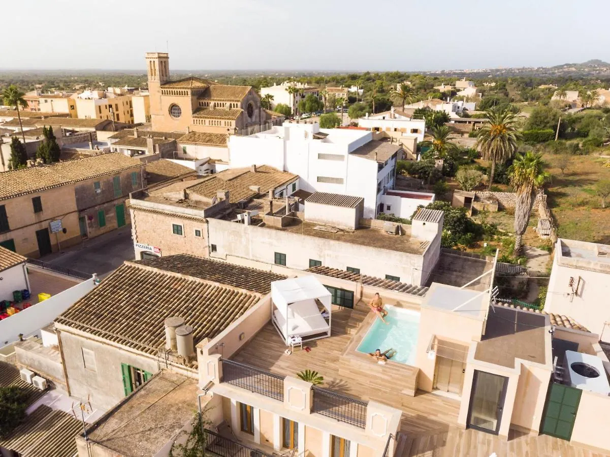 فندق بيتيت سان ميجيل Calonge
